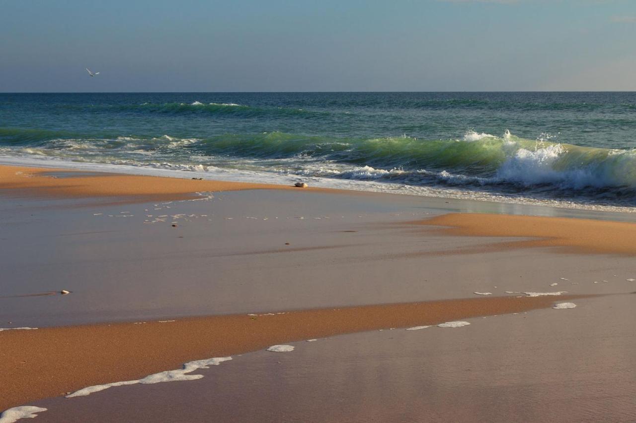 La Rose Allass Grand-Village-Plage Buitenkant foto